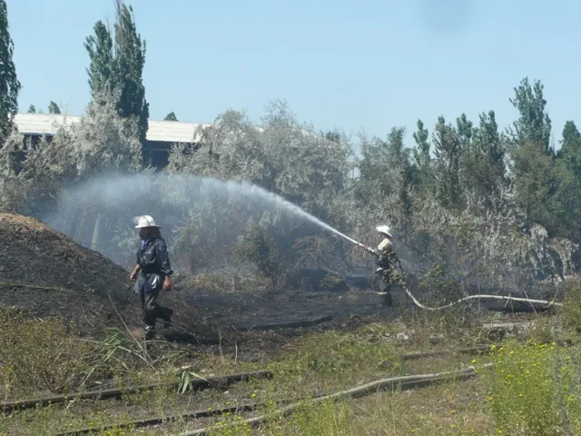 Рятувальники застерігають громадян про заборону спалювання сухої трави та рослинних залишків (фото) — фото 4